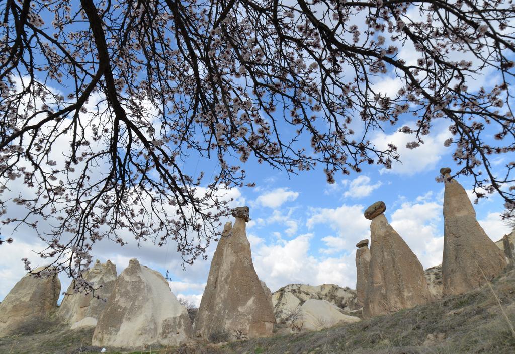 Grand Cave Suites Göreme Zewnętrze zdjęcie